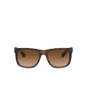 OCCHIALI DA SOLE RAY BAN 4165 710/13