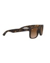 OCCHIALI DA SOLE RAY BAN 4165 710/13