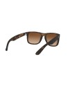 OCCHIALI DA SOLE RAY BAN 4165 710/13