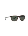 OCCHIALI DA SOLE PERSOL 3019S 24/31 CALIBRO 55