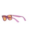 Occhiali da sole Ray Ban Wayfarer 2140 661313| Ottica Ricci Shop Online