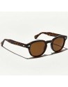 Moscot Lemtosh Tortoise calibro 49 | Ottica Ricci Shop Online