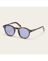 Moscot Miltzen Tortoise con lente Pervinca | Ottica Ricci Shop Online