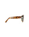 Persol 0649 1052S3  Occhiali da Sole Polarizzati– Ottica Ricci Shop Online