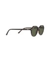 Ray-Ban Round  2195 - Ottica Ricci Shop Online