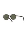 Ray-Ban Round  2195 - Ottica Ricci Shop Online