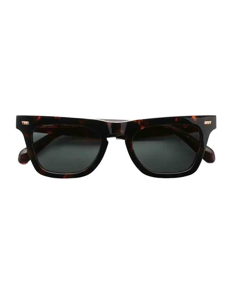 Occhiali Gast End-Piece Classic havana -  Ottica Ricci Shop Online