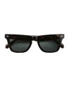 Occhiali Gast End-Piece Classic havana -  Ottica Ricci Shop Online