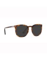 Persol occhiali sole 3316S - Ottica Ricci shop Online