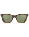 Occhiali da Sole Saratoga Tortoise – Ottica Ricci Shop Online