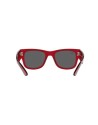 Occhiali da sole Ray Ban 0840S 6679B1 – Ottica Ricci Shop Online