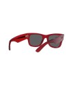 Occhiali da sole Ray Ban 0840S 6679B1 – Ottica Ricci Shop Online