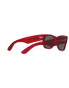 Occhiali da sole Ray Ban 0840S 6679B1 – Ottica Ricci Shop Online