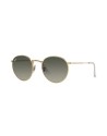 Occhiali da sole Ray Ban 3447 001/71 53. – Ottica Ricci Shop Online