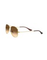 Occhiali da sole Uomo Ray Ban 3362 001/51 – Ottica Ricci Shop Online