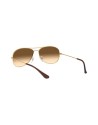 Occhiali da sole Uomo Ray Ban 3362 001/51 – Ottica Ricci Shop Online