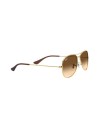 Occhiali da sole Uomo Ray Ban 3362 001/51 – Ottica Ricci Shop Online