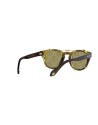 Occhiali da sole Giorgio Armani 8190U 59871W – Ottica Ricci Shop Online