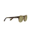 Occhiali da sole Giorgio Armani 8190U 59871W – Ottica Ricci Shop Online