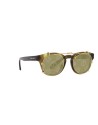 Occhiali da sole Giorgio Armani 8190U 59871W – Ottica Ricci Shop Online