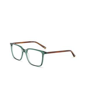 Occhiali da Vista Etnia Barcelona CALONGE 52O gr da Ottica Ricci Shop Online.