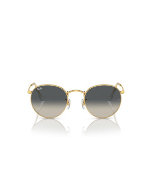 Ray-Ban Occhiali da sole 3447 da Ottica Ricci Shop Online