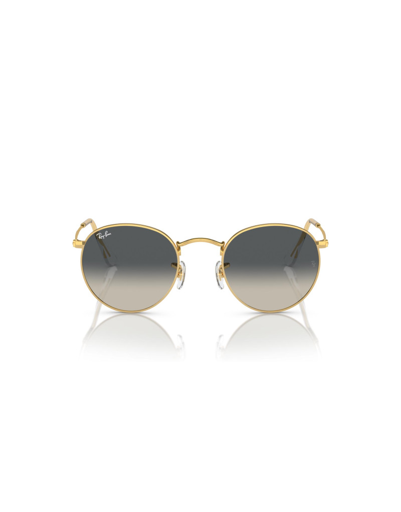 Ray-Ban Occhiali da sole 3447 da Ottica Ricci Shop Online