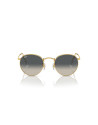 Ray-Ban Occhiali da sole 3447 da Ottica Ricci Shop Online