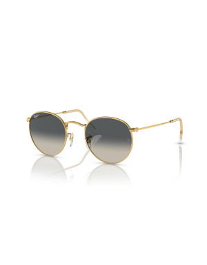 Ray-Ban Occhiali da sole 3447 da Ottica Ricci Shop Online