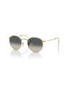 Ray-Ban Occhiali da sole 3447 da Ottica Ricci Shop Online