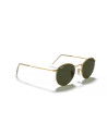 Ray-Ban Occhiali da sole 3447 da Ottica Ricci Shop Online