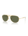 Ray-Ban Occhiali da sole 3735 da Ottica Ricci Shop Online