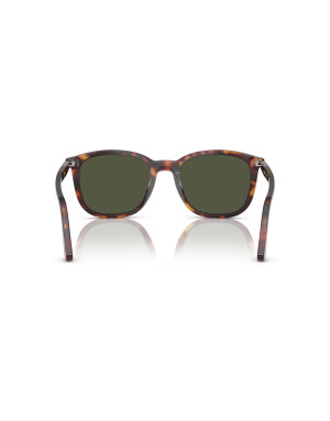 Persol Occhiali da sole 3355S da Ottica Ricci Shop Online