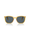 Persol Occhiali da sole 3355S da Ottica Ricci Shop Online