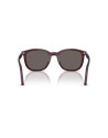 Persol Occhiali da sole 3355S da Ottica Ricci Shop Online