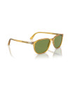 Persol Occhiali da sole 3019S da Ottica Ricci Shop Online