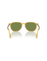 Persol Occhiali da sole 3019S da Ottica Ricci Shop Online