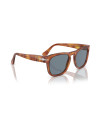 Persol Occhiali da sole 3333S da Ottica Ricci Shop Online