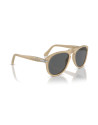 Persol  Occhiali da sole 0649 da Ottica Ricci Shop Online