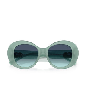 Tiffany & Co. Occhiali da sole 4228 da Ottica Ricci Shop Online