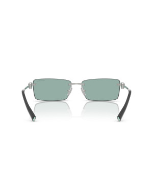 Tiffany & Co. Occhiali da sole 3108B da Ottica Ricci Shop Online