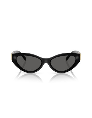 Tiffany & Co. Occhiali da sole 4225U da Ottica Ricci Shop Online