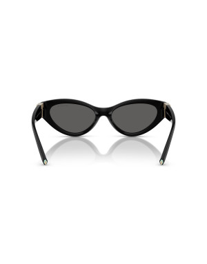 Tiffany & Co. Occhiali da sole 4225U da Ottica Ricci Shop Online