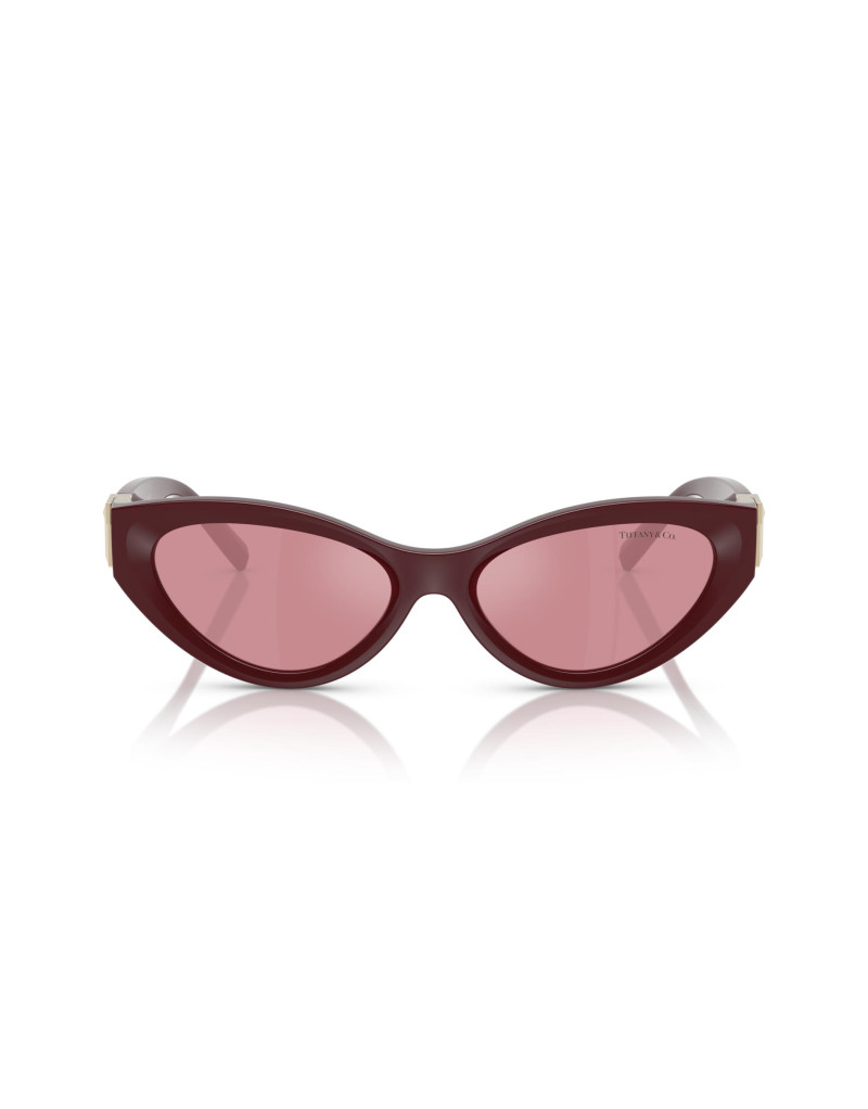 Tiffany & Co. Occhiali da sole 4225U da Ottica Ricci Shop Online