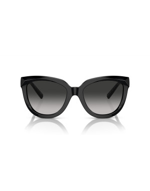 Occhiali da sole Tiffany & Co. 4215 disponibile online da Ottica Ricci