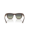 Occhiali da Sole Oliver Peoples 5558SU 52A disponibili online da Ottica Ricci