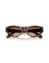 Occhiali da sole Persol 0052S 24/51 disponibili online da Ottica Ricci