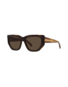 Edge Havana Geometric Sunglasses