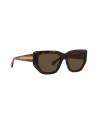 Edge Havana Geometric Sunglasses