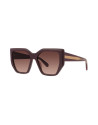 Edge Brown Geometric Sunglasses